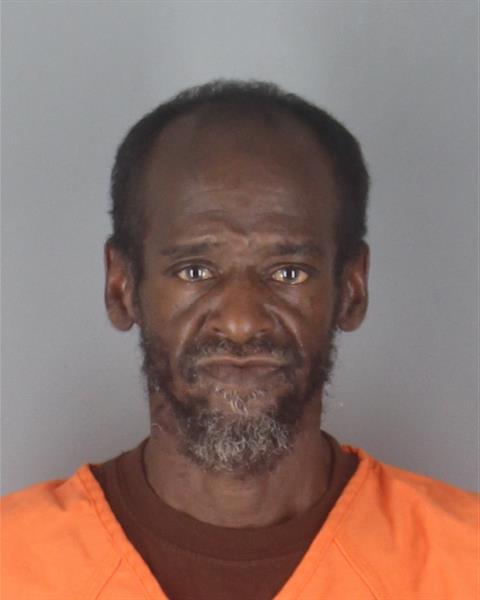 Booking photo of Tysica Watkins