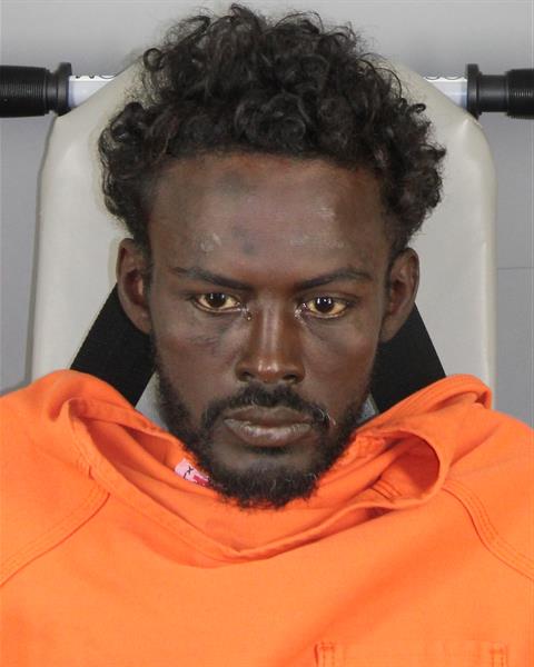 Booking photo of Hussein Hired