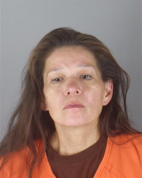 Booking photo of Roxanne Davis