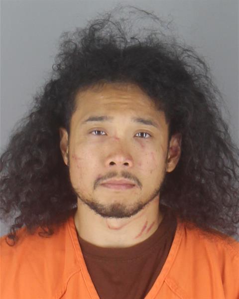 Booking photo of Harrison Nguyen