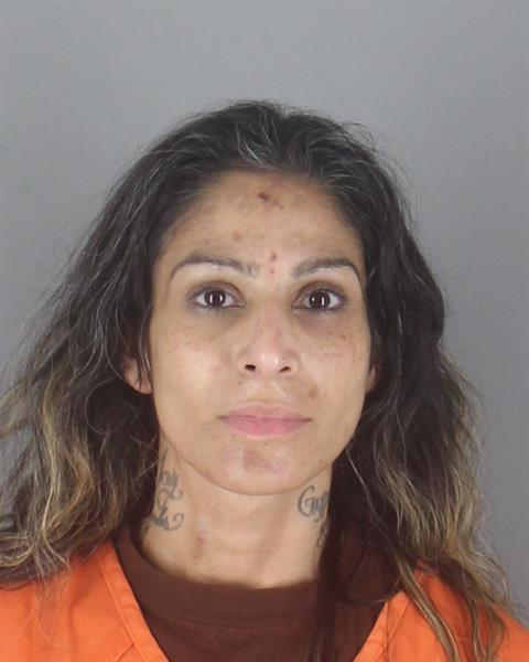 Booking photo of Hannan Ayoub