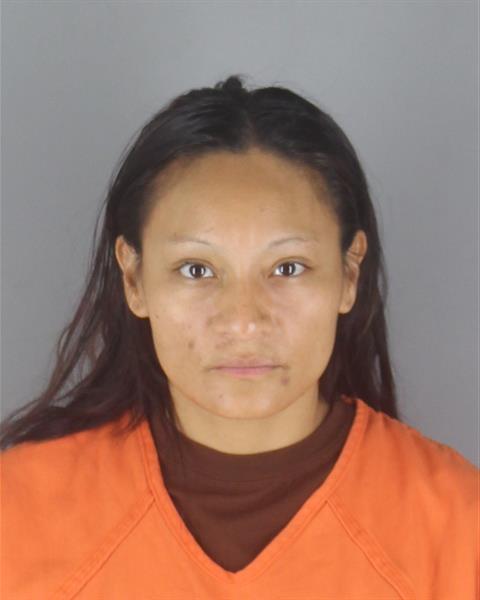 Booking photo of Patricia Nicholas