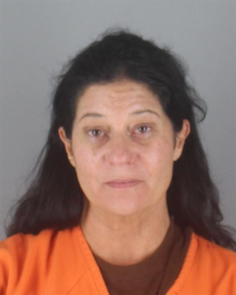 Booking photo of Kristina Hook