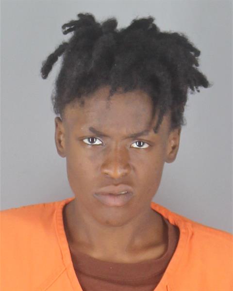 Booking photo of Nevaeh Williams