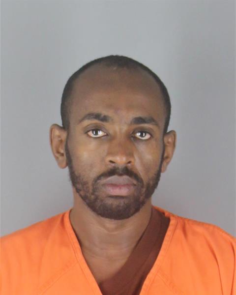 Booking photo of Sanyi Tefera