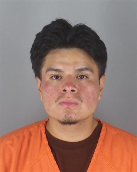 Booking photo of Walter Puma Lema