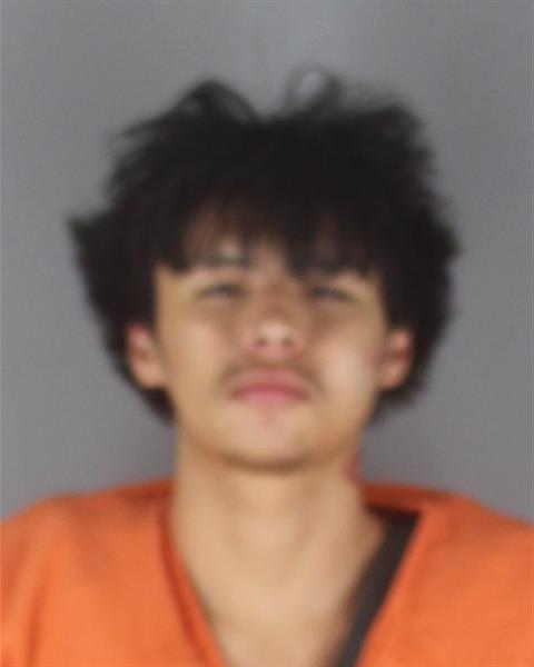 Booking photo of Dee Bellanger
