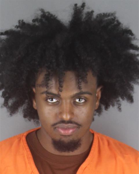 Booking photo of Feanan Gabi