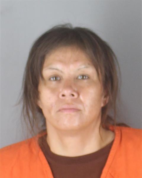 Booking photo of Amy Jackson