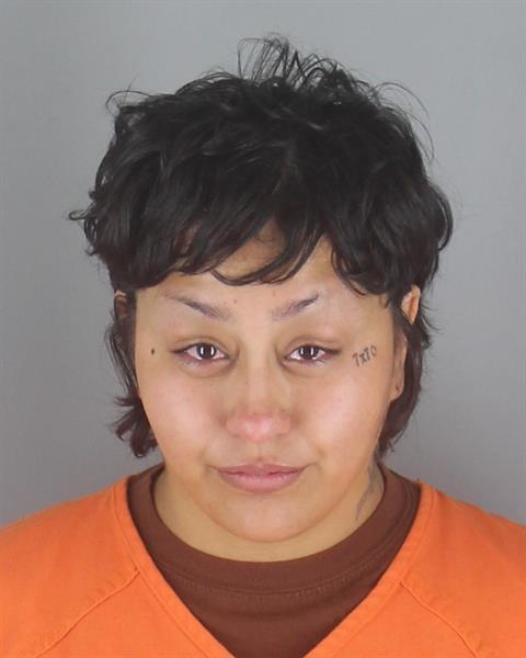 Booking photo of Priscila Verdun