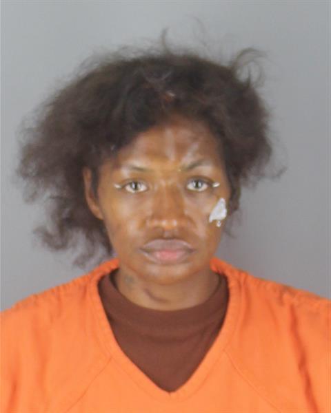 Booking photo of Desiree Owens