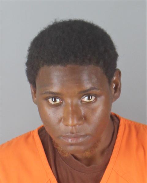 Booking photo of Jakita Wylie