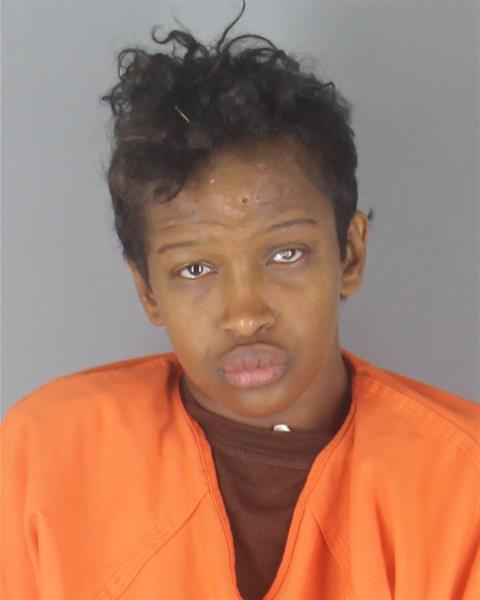Booking photo of Ayan Farah