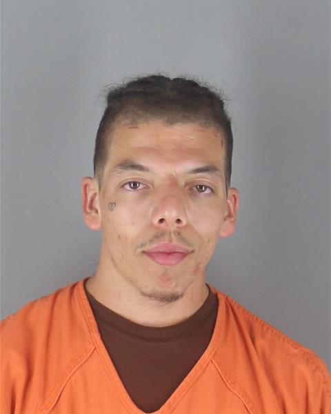 Booking photo of Michael Papasodora