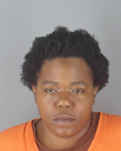 Booking photo of Tiara Lee