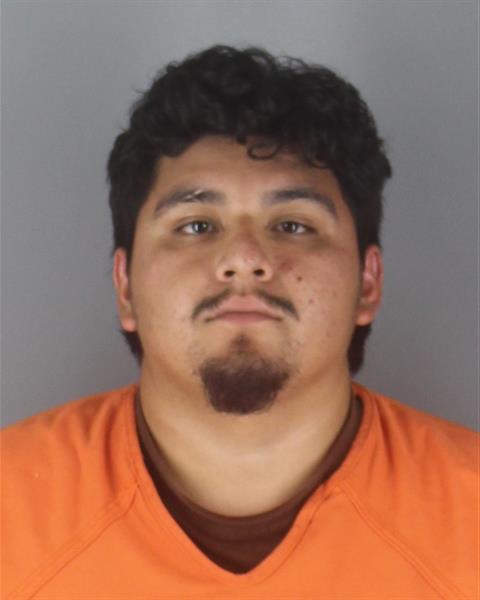 Booking photo of Nelso Villa Penalosa