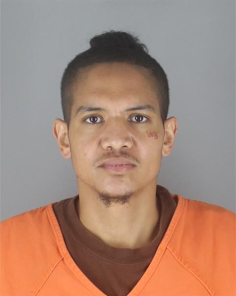 Booking photo of Darryl Lamb
