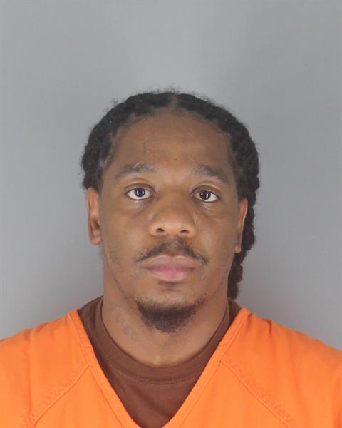 Booking photo of Preshawn Johnson
