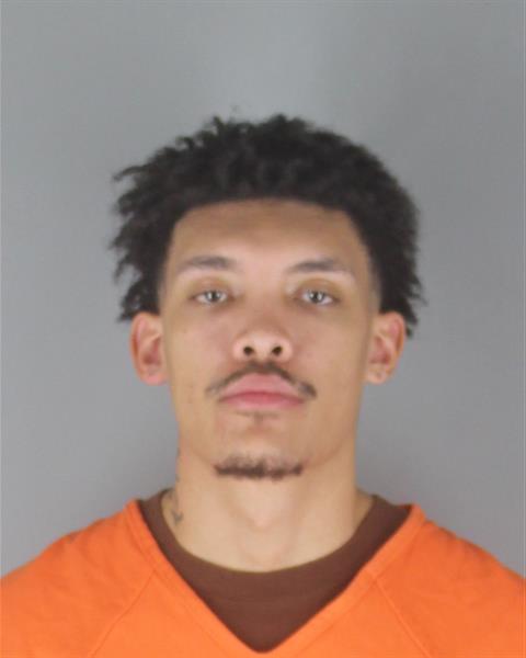Booking photo of Gabriel Haaland