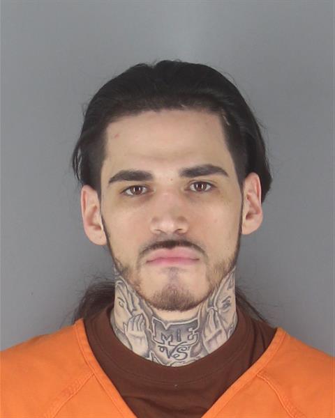 Booking photo of Tristan Klemer