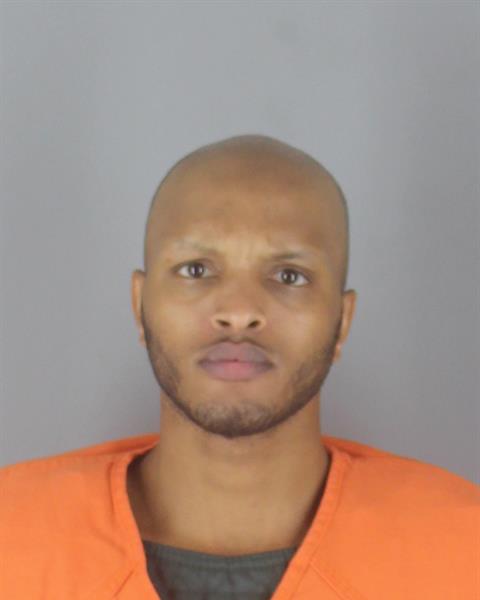 Booking photo of Yahya Farah