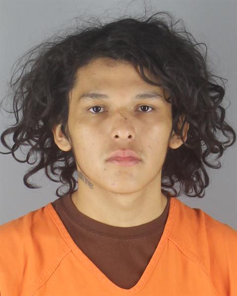Booking photo of Larry Nerison