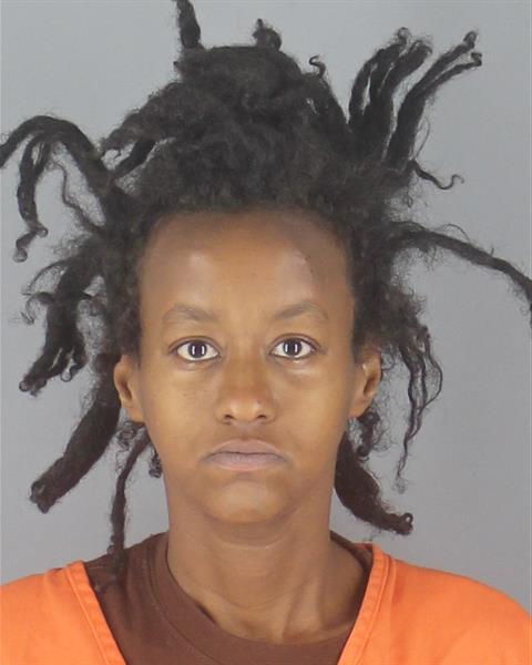 Booking photo of Farhya Ahmed