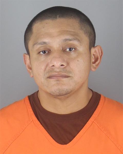 Booking photo of Edgar Remedios