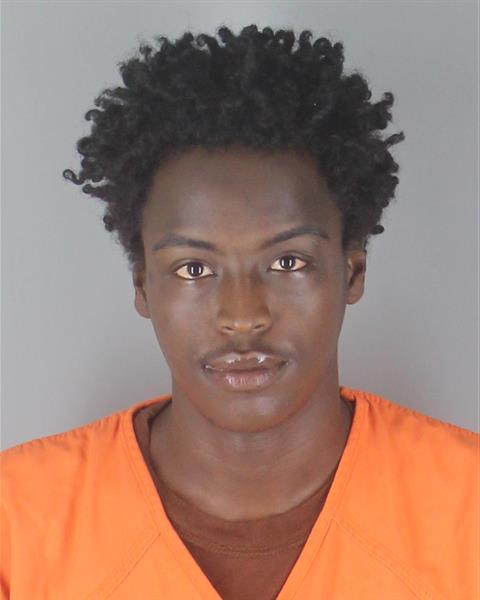 Booking photo of Ahmed Ibrahim