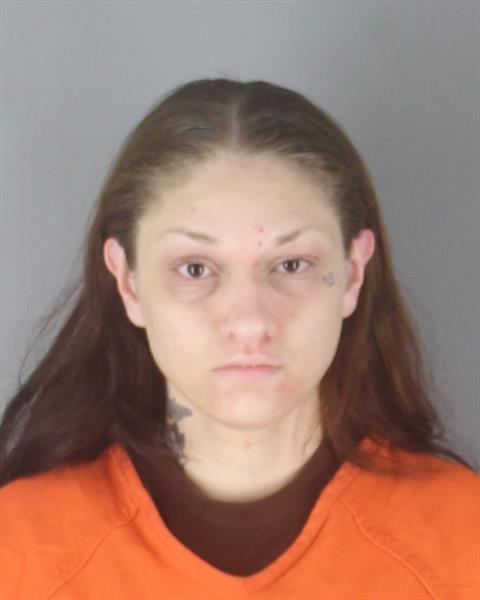 Booking photo of Bridget Anderson