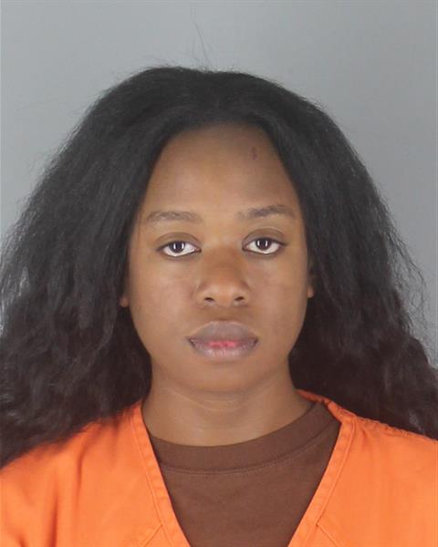Victoria Elling booking photo