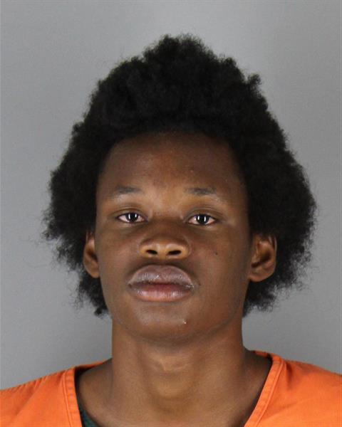 Javane Chambers booking photo