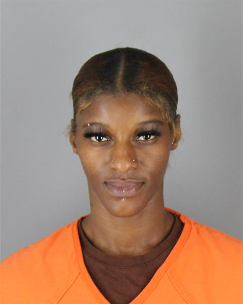 Precious Siner booking photo