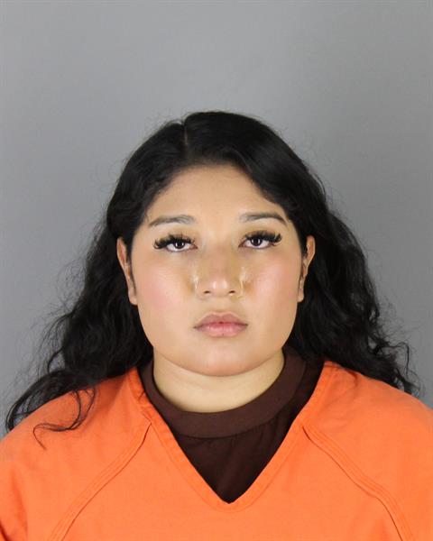 Genesis Anaya Gonzalez booking photo