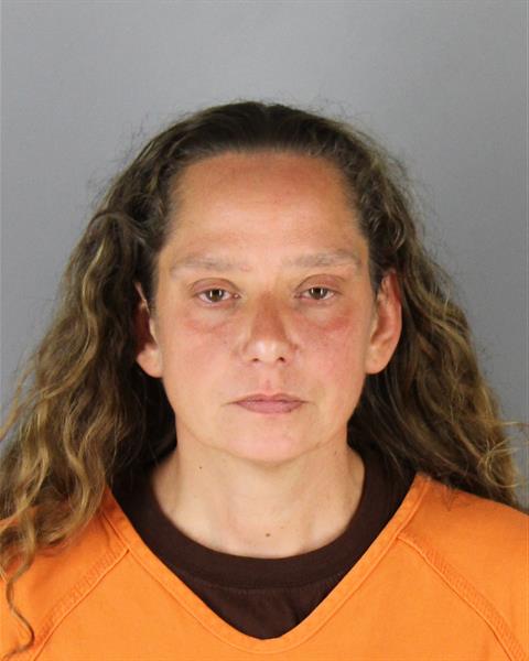 Tina Freeman booking photo