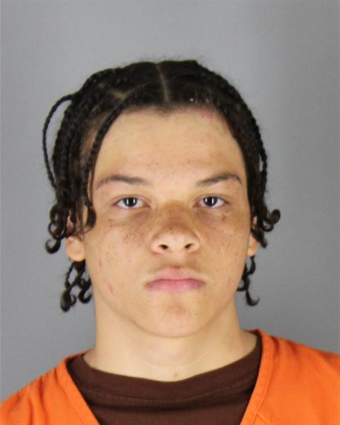 Nayhem Williams booking photo