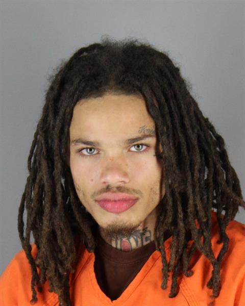 Trevelle Hellgren booking photo