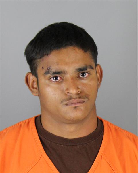 Ivis Herrera booking photo