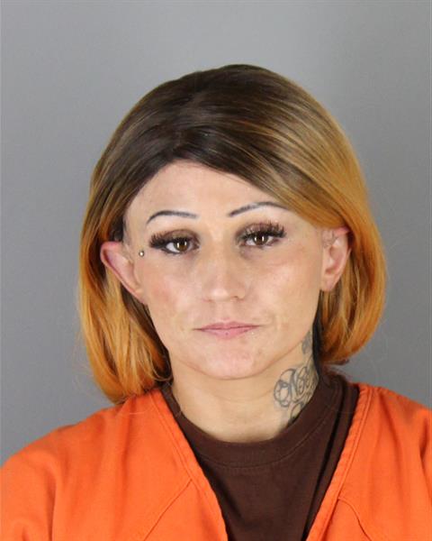 Holly Mohr booking photo