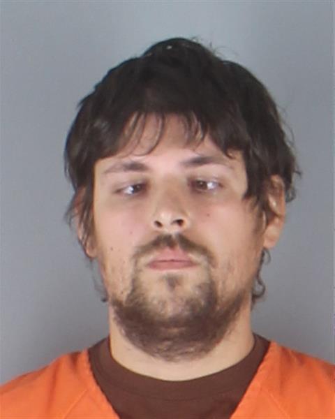 Trevor Ellis booking photo