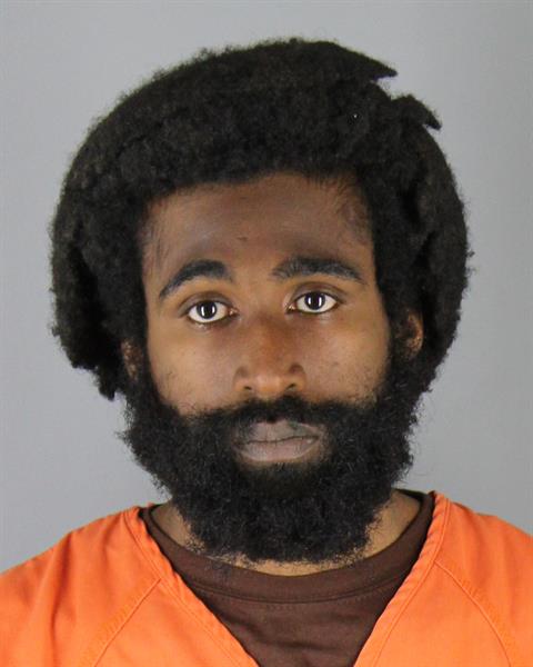 Booking photo of Davion Henderson Williams