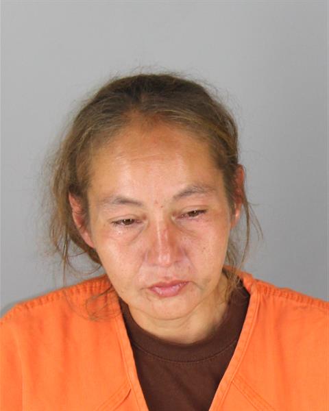 Debbie Papish booking photo