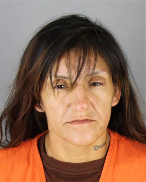 Cheryl Tucker booking photo