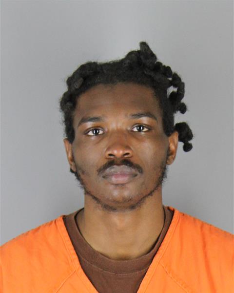 Steven Collins booking photo