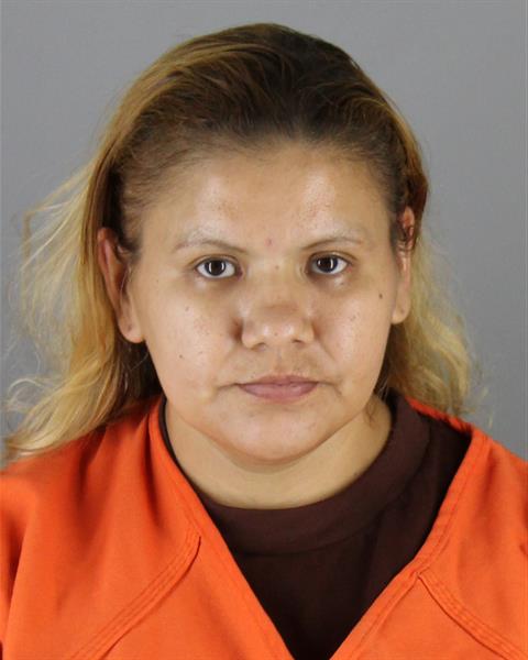 Tasheena Jackson-ellis booking photo