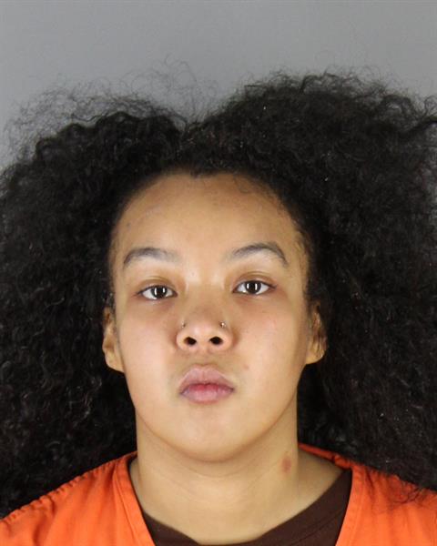 Annette Arce-flores booking photo