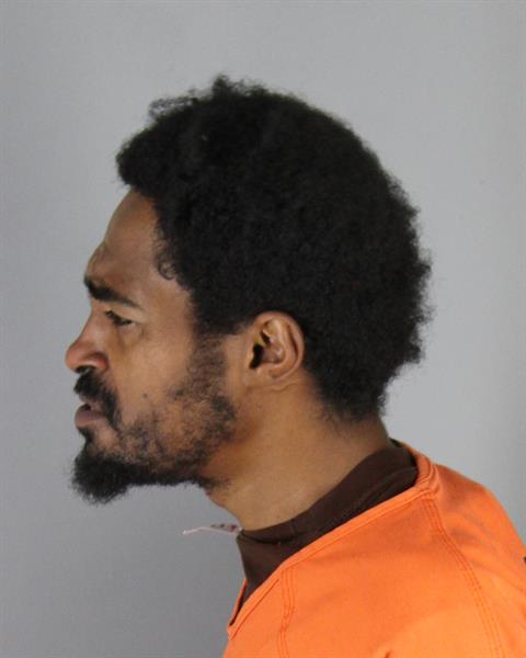 Booking photo of Tigistu Ashine