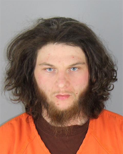 Robert Pikkarainen booking photo