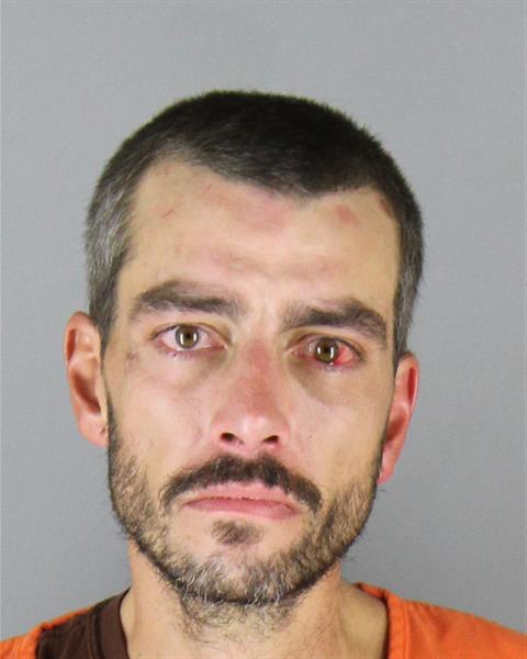 David Brandon booking photo
