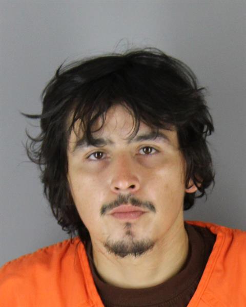 Richard Johnson booking photo